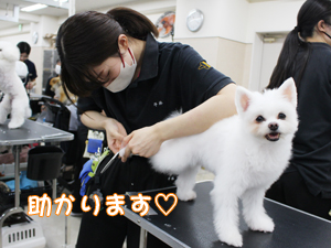 ２年生のトリミング実習♪